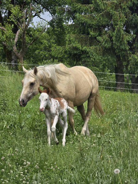 Photo de profil de tcvr