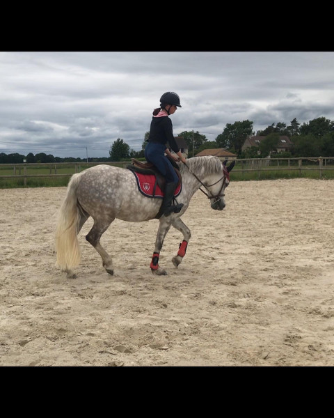 Photo de profil de tea_78