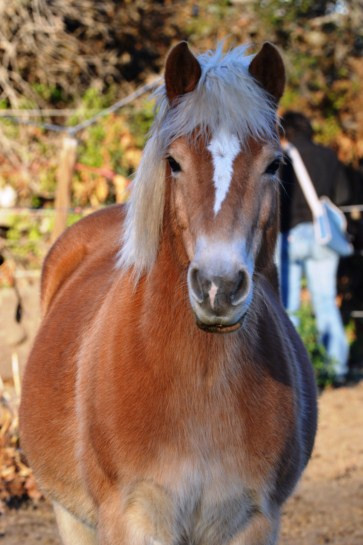 Photo de profil de teddy660