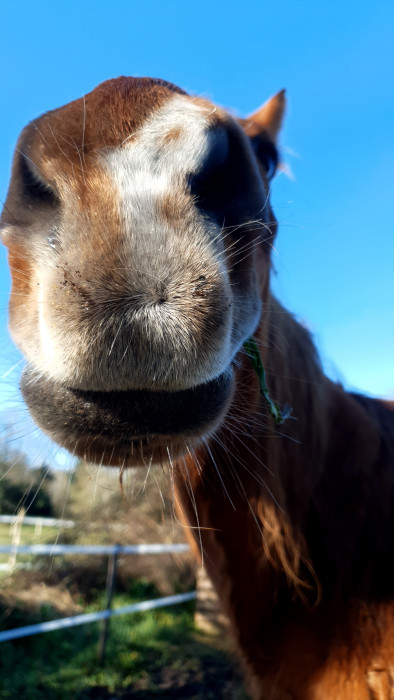 Photo de profil de teewen