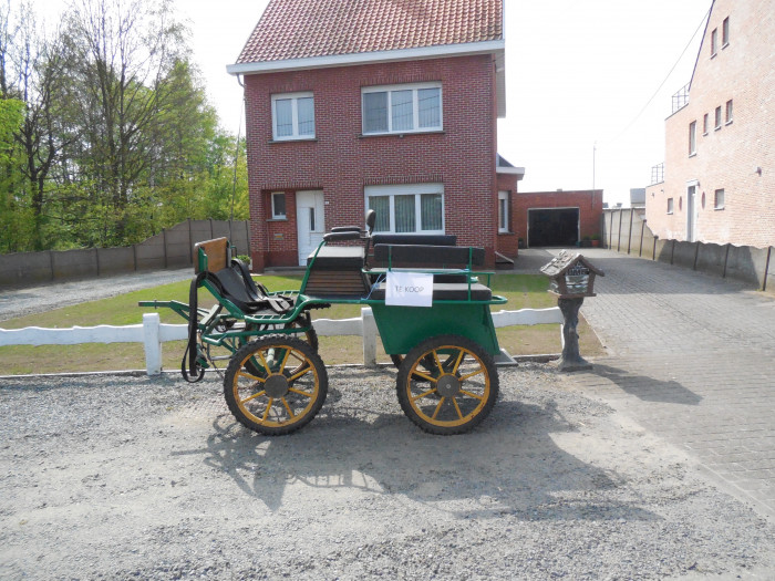 Photo de profil de telum