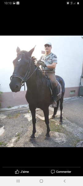 Photo de profil de templare67