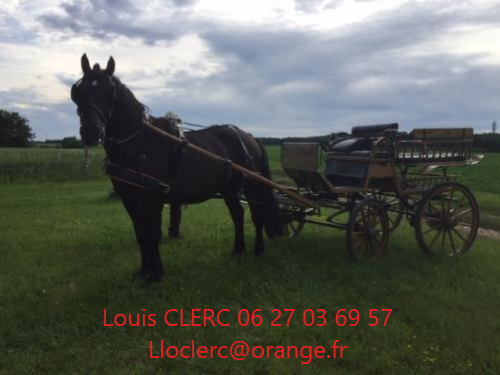 Photo de profil de tempslibre
