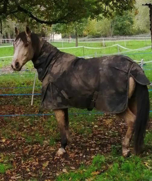 Photo de profil de tenesse