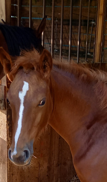 Photo de profil de tenor85
