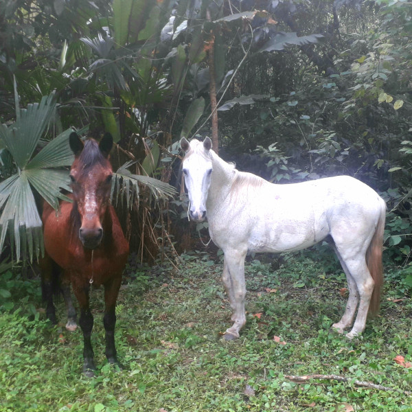 Photo de profil de teomendihuaca