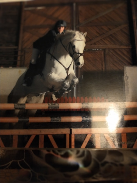 Photo de profil de tephieallart