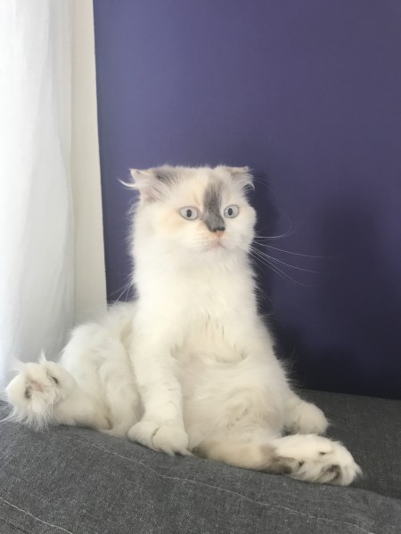 Photo de profil de teresa44