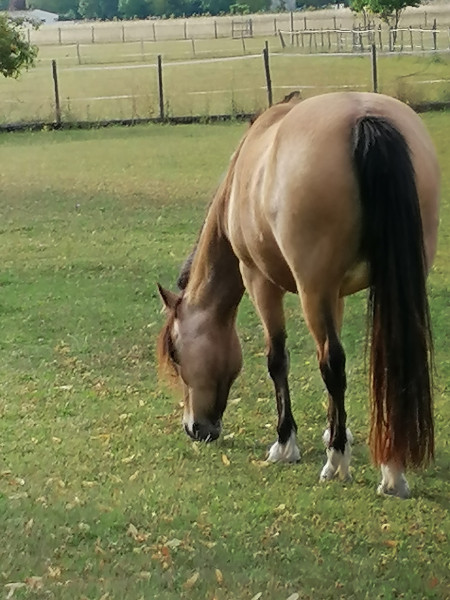 Photo de profil de terre_a_terre