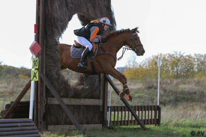 Photo de profil de tess___glr