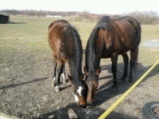 Photo de profil de tg63