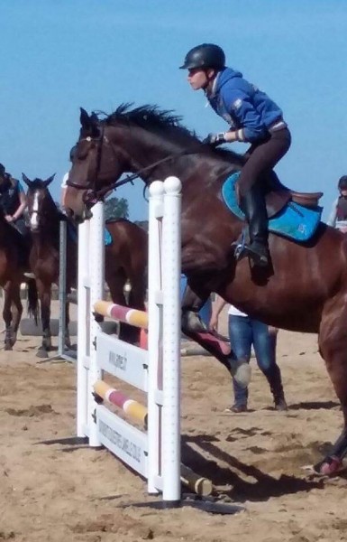 Photo de profil de theo6901