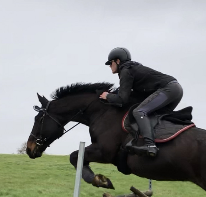 Photo de profil de theocollette50