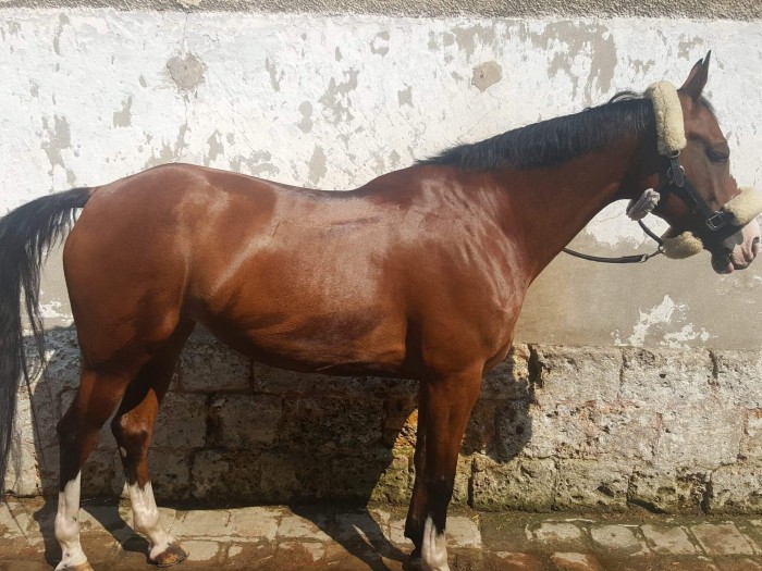 Photo de profil de thierryperrot