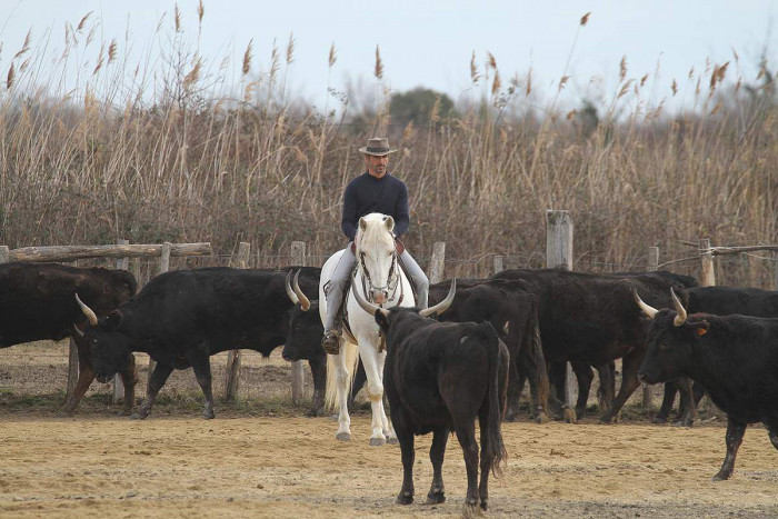 Photo de profil de tiago1330