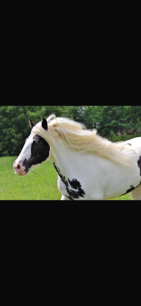 Photo de profil de tierney