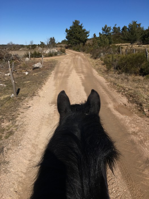 Photo de profil de tikins48