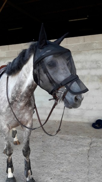 Photo de profil de tinger