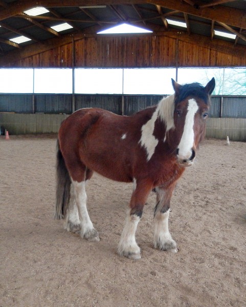 Photo de profil de tinkouri