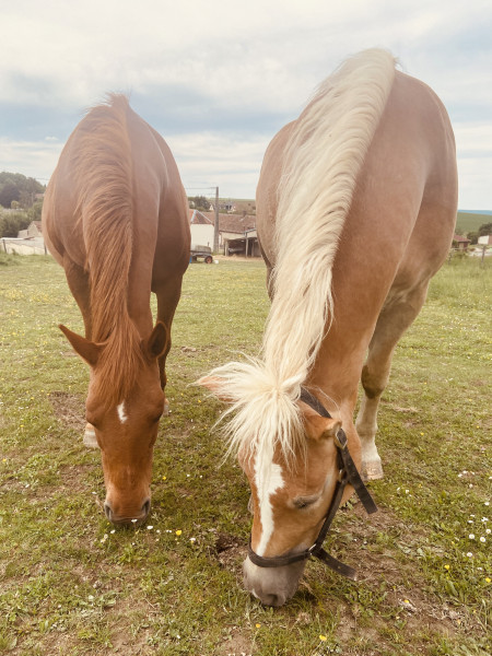 Photo de profil de tiphene10