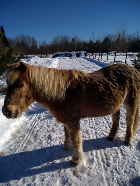 Photo de profil de tirouge