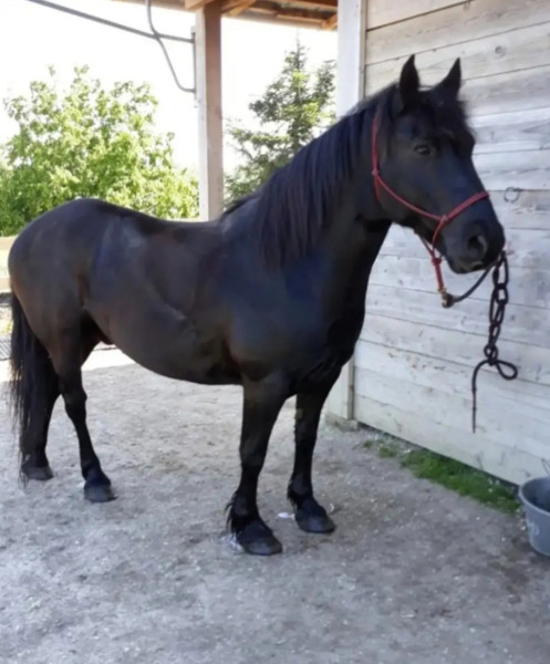 Photo de profil de titicoco77