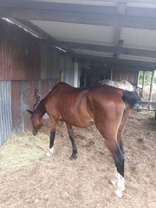 Photo de profil de toinou7263
