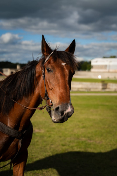 Photo de profil de tokthun
