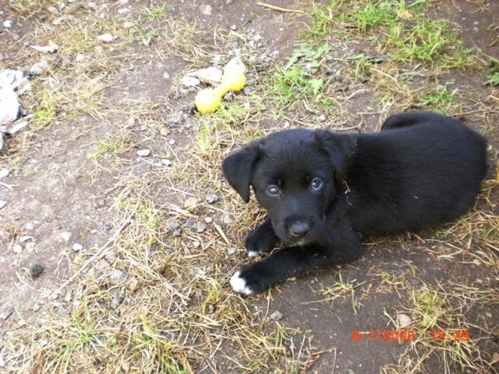 Photo de profil de tomlove