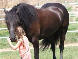 Photo de profil de tomtom33