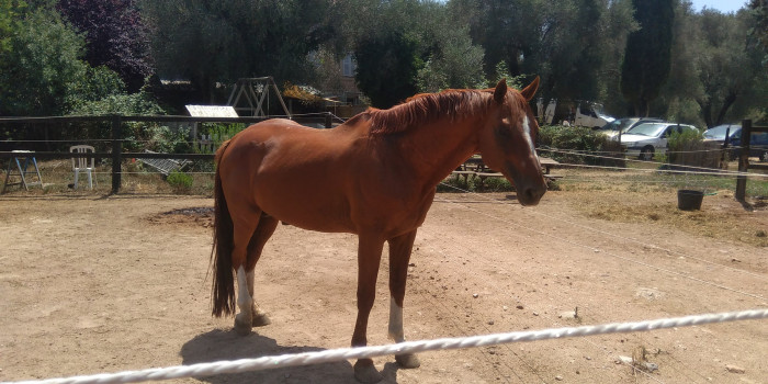 Photo de profil de toner