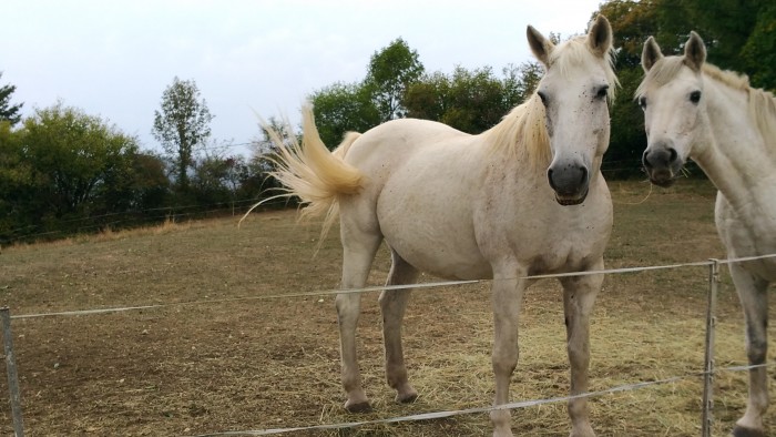Photo de profil de tontonmimi