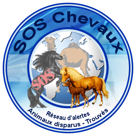 Photo de profil de topchevaux