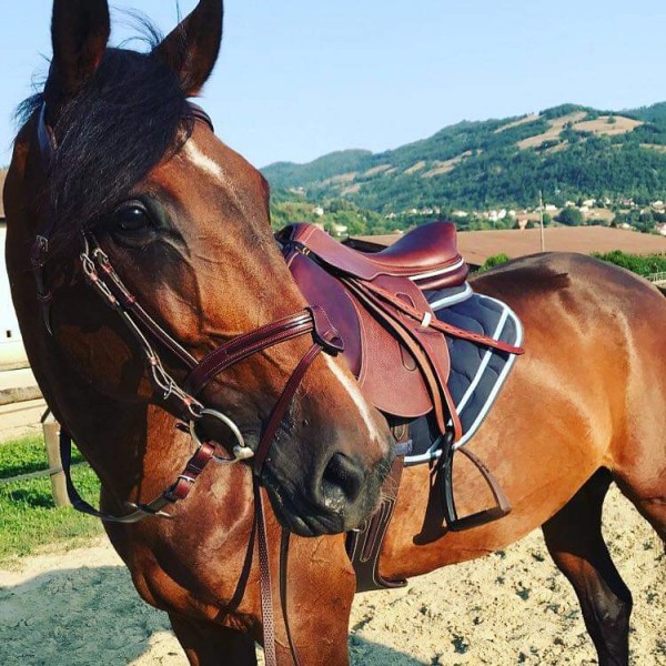 Photo de profil de topiededelesp1