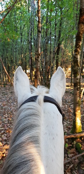 Photo de profil de toscana