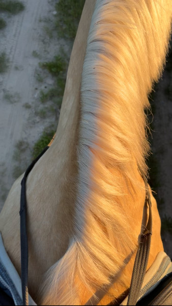 Photo de profil de toscane2002