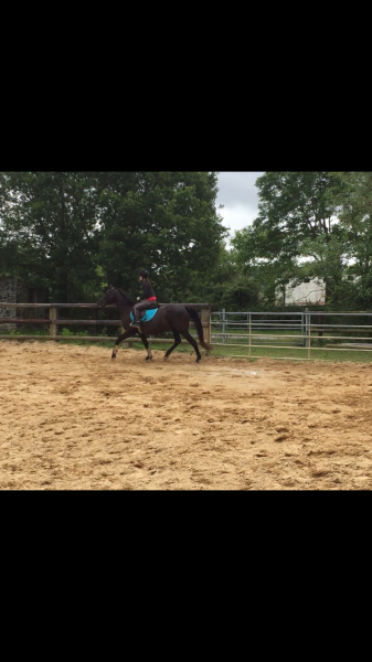 Photo de profil de toscane44