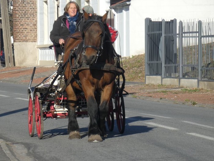 Photo de profil de touftouf59