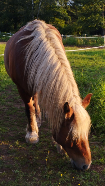 Photo de profil de trinity03