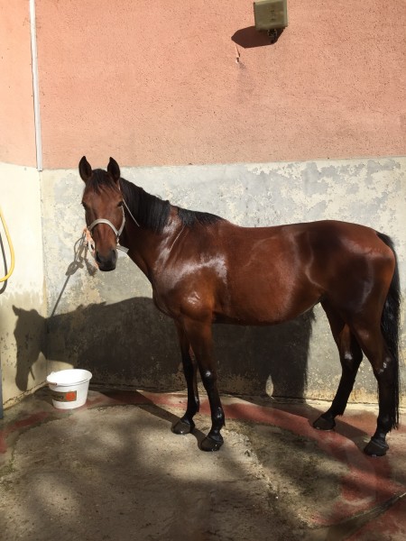 Photo de profil de troistoiles