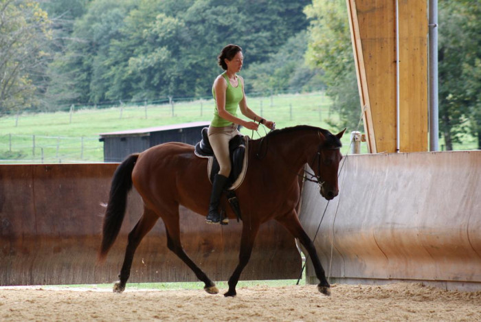 Photo de profil de troton