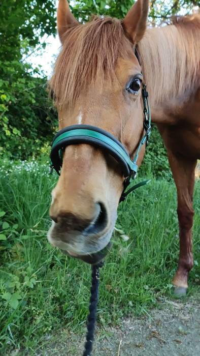 Photo de profil de tundra_hdh