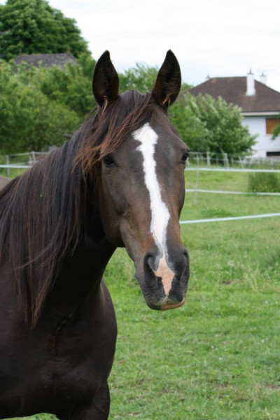 Photo de profil de turlurette21