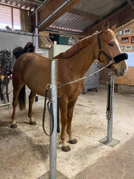 Photo de profil de tutur70100