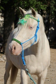 Photo de profil de uchka