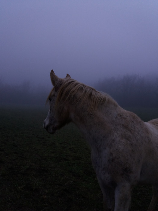 Photo de profil de ucie23