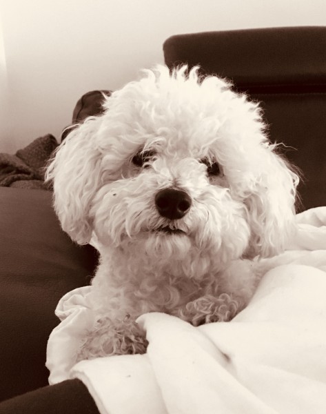 Photo de profil de ucie.cherie