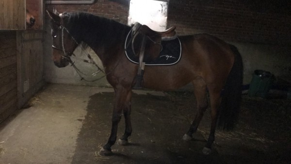 Photo de profil de ulien.verhoeve