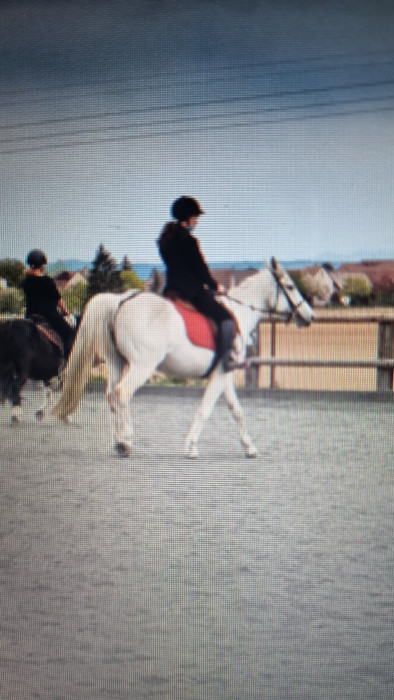 Photo de profil de uline67