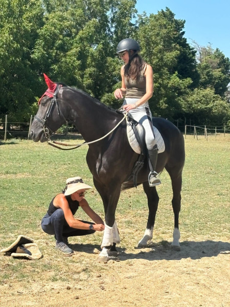 Photo de profil de unautrecheval